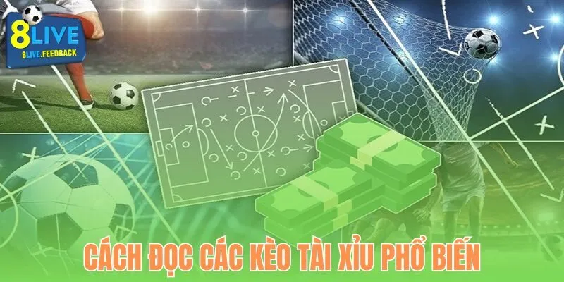 Tìm hiểu cách đọc các kèo Tài Xỉu tại 8Live