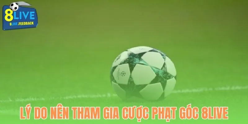 Lý do nên tham gia hình thức cược phạt góc 8Live