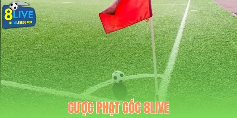 Cược phạt góc tại 8Live