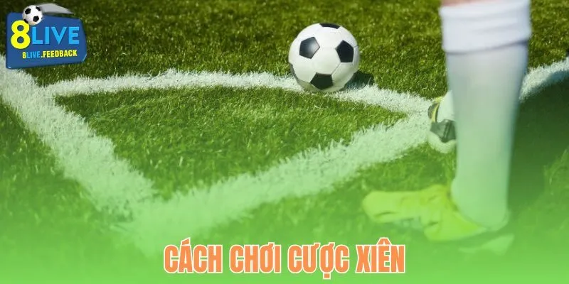 Cách chơi cược xiên đơn giản tại 8Live